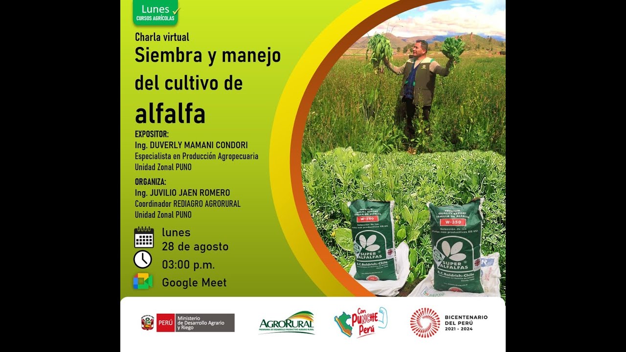 Siembra y manejo del cultivo de alfalfa 28.08.2023 - YouTube