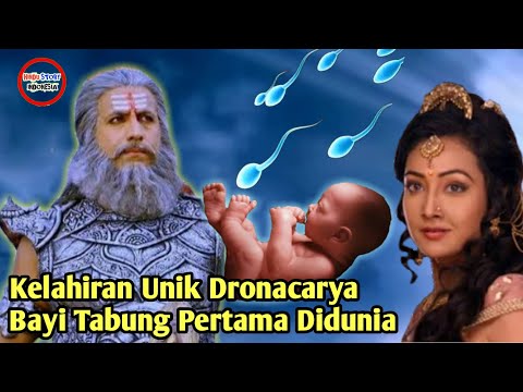 Video: Rahsia Darah Biru Dan Kemunculan Babi Domestik - Pandangan Alternatif