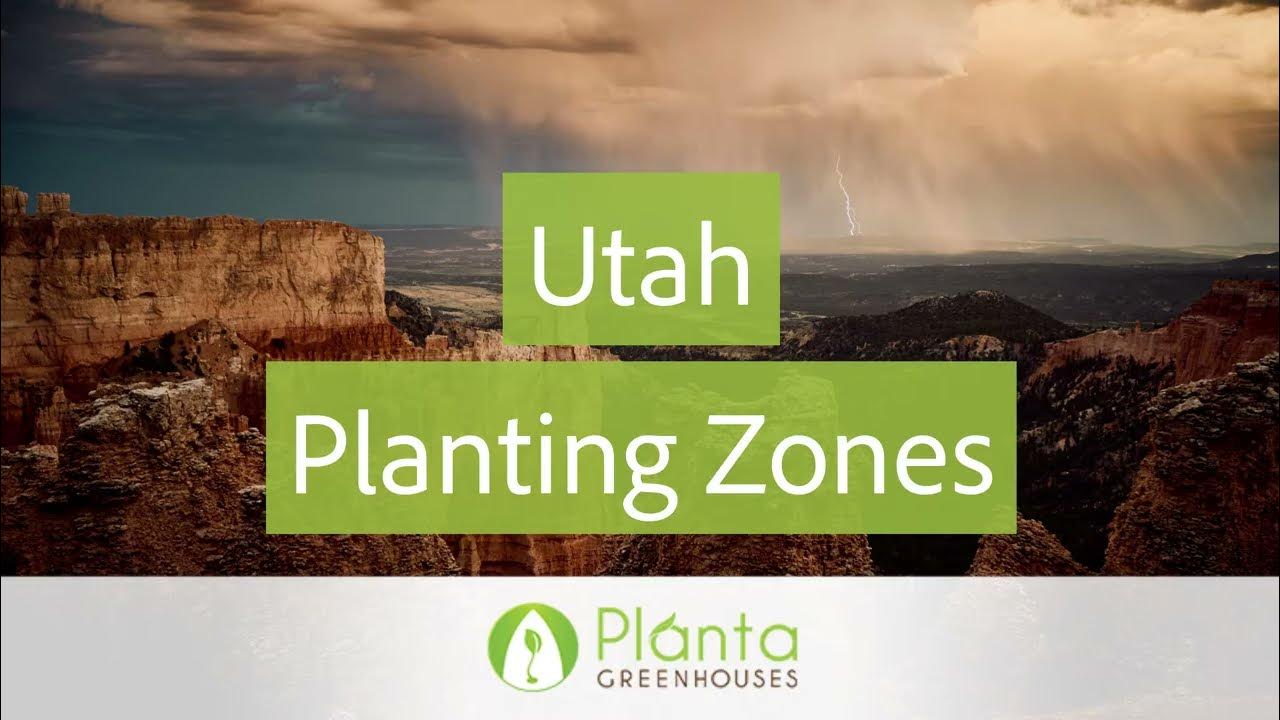 Utah Planting Zones Planta Greenhouses YouTube