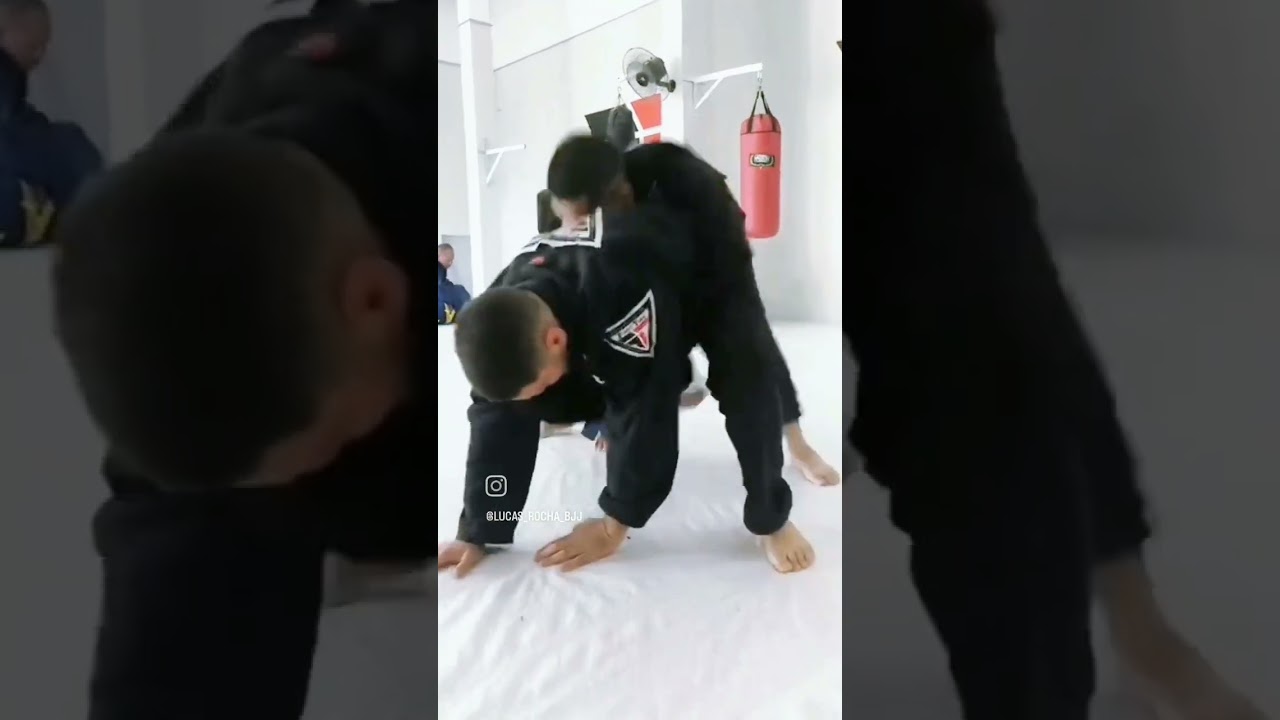 Lucas Rocha vs Gabryell        meu  melhor parceiro de treino comentem quem você achou melhor
