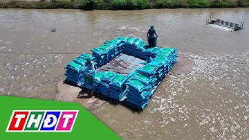 Xuất hiện thị trường trọng điểm mới của cá tra Việt | THDT