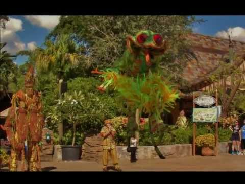 Busch Gardens Tampa Florida 2012 Youtube