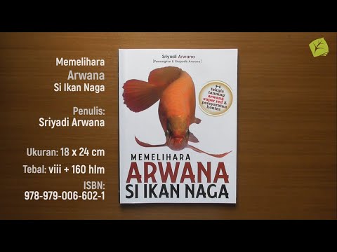 Video: Apa dia, ikan naga (arwana)?