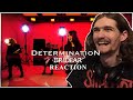 BRIDEAR - Determination reaction/review