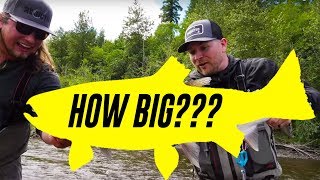 We Landed A MONSTER Hatchery Summer STEELHEAD! | Addicted Life Ep. #48