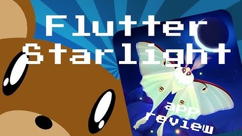 Echo App Review!! | Flutter Starlight