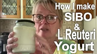 How I Make SIBO Yogurt & L Reuteri Yogurt  Hints & Tips to Help You Master It