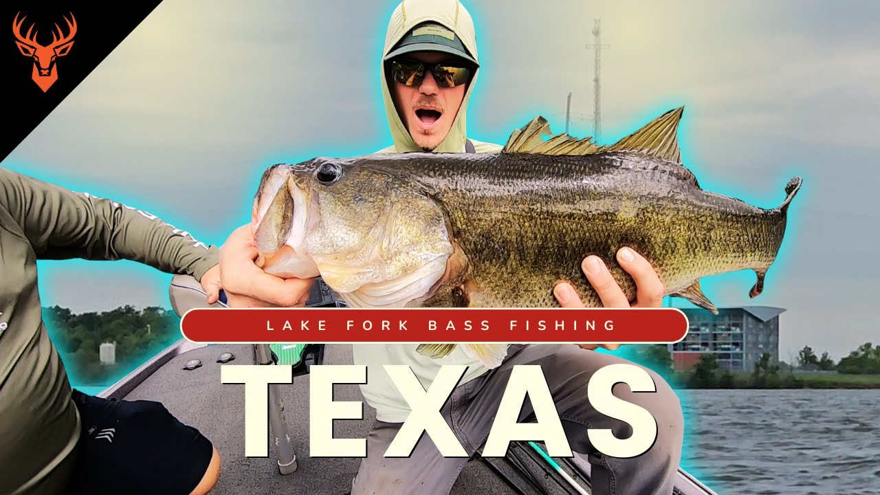 Chasing Monsters!  |  Lake Fork Bass Fishing  |  Old Gina – 9lbs