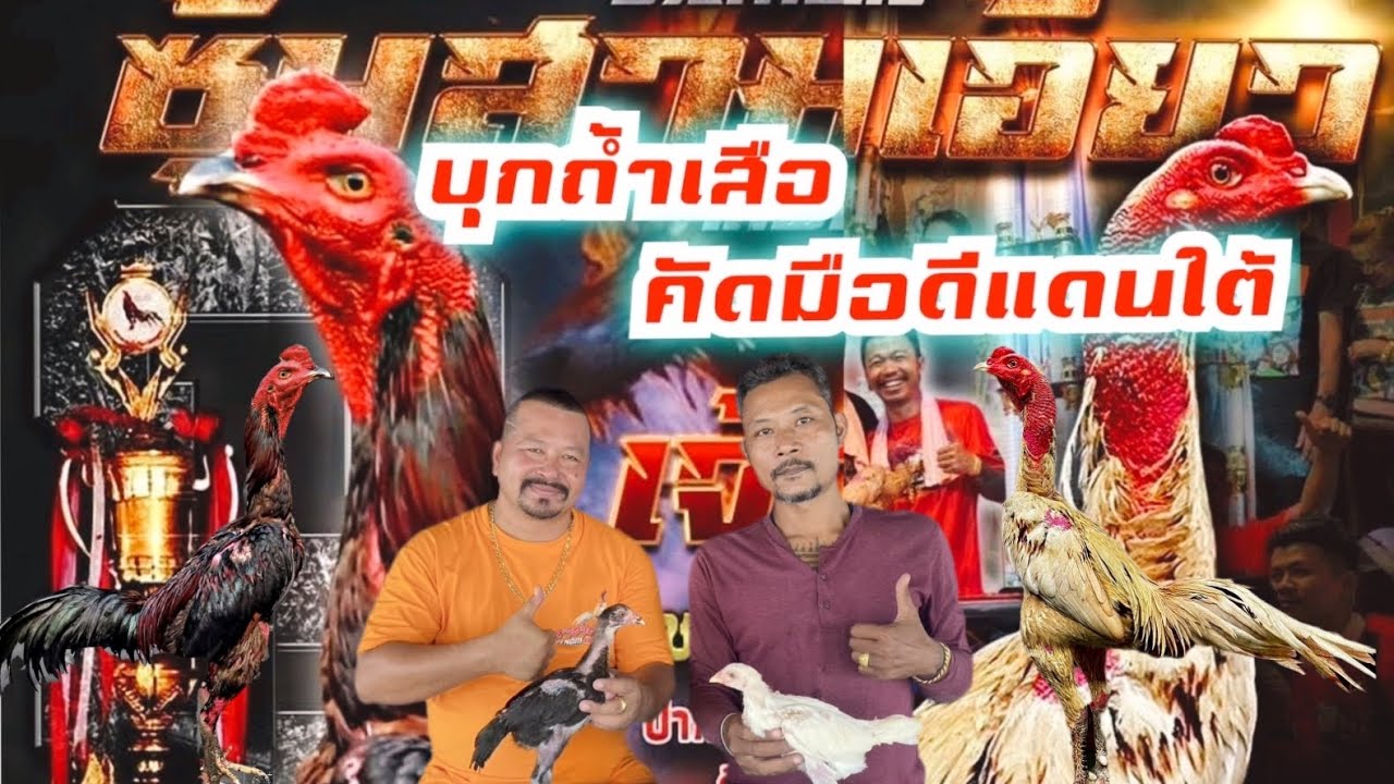 EP.พิเศษ บุกซุ้มไก่เงินล้านสามเอี่ยวประจวบคีรีขันธ์