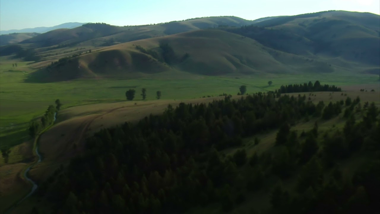 aerial wide shot of green valley and forest wjzkx4lbh  D