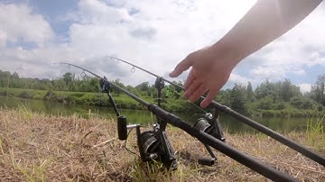 carp run compilation #8