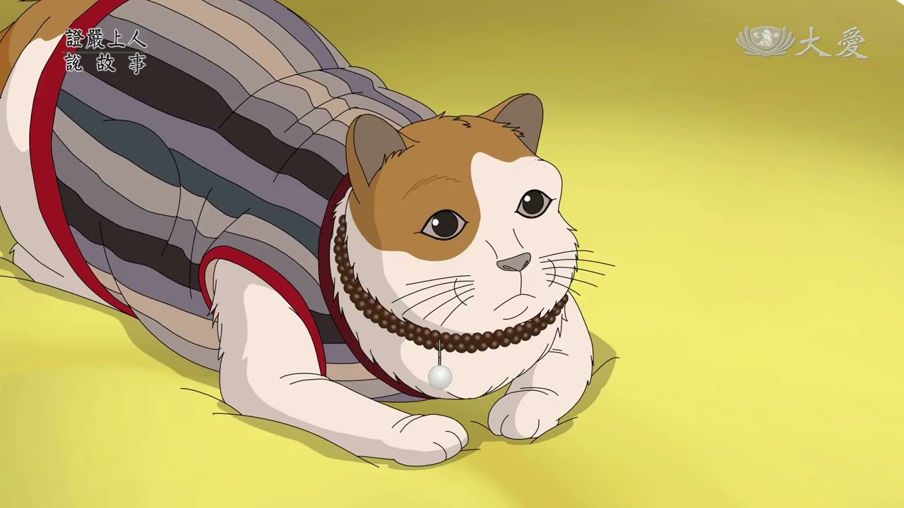 【證嚴上人說故事】 佛系的貓咪~貓能吃素嗎？ 20260228