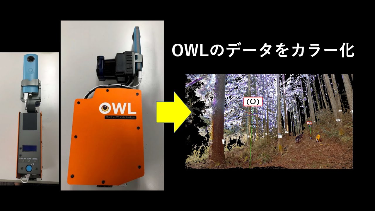 OWL｜株式会社ジツタ