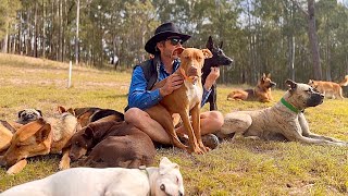 Adopted Shelter Dogs Living on Farm Together | German Shepherd Birthday Party