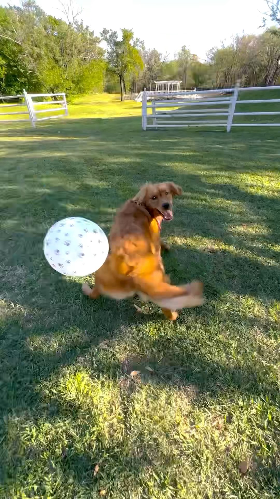 DON'T Pop the Balloon Challenge! ?