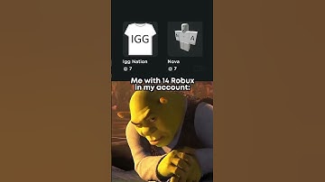 Me with my 14 robux #roblox #shreck #memes #robux