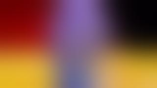 Sawyer Blueberry inflation