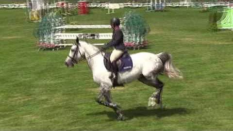 Video of CERISE ridden by DEBORAH DOLAN-SWEENEY fr...