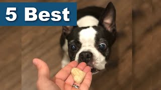 5 Best Dog Treats For Boston Terriers! (1,000 Surveyed) by Boston Terrier Society 8,738 views 3 years ago 6 minutes, 31 seconds