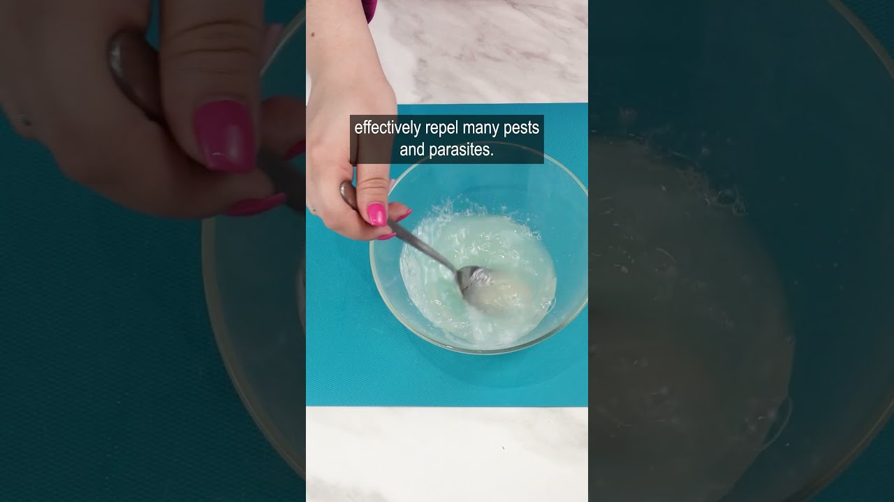This Method For Fleas And Ticks Will Protect Your Dog Pennies