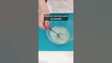 This method for fleas and ticks will protect your dog for pennies