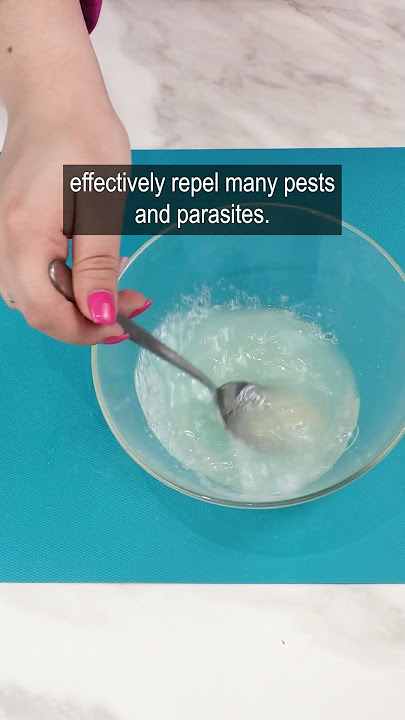This method for fleas and ticks will protect your dog for pennies
