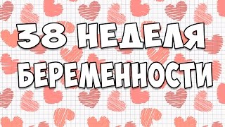 видео 38 неделя беременности