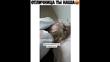 Реакция на низкие баллы егэ