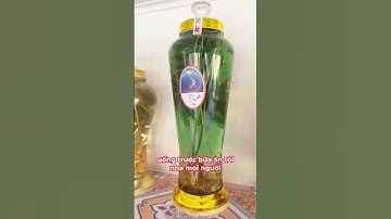 Sâm Ngọc Linh uống vào thời điểm nào là tốt nhất