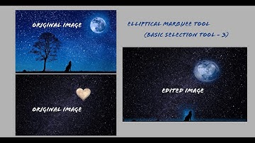Elliptical Marquee Tool