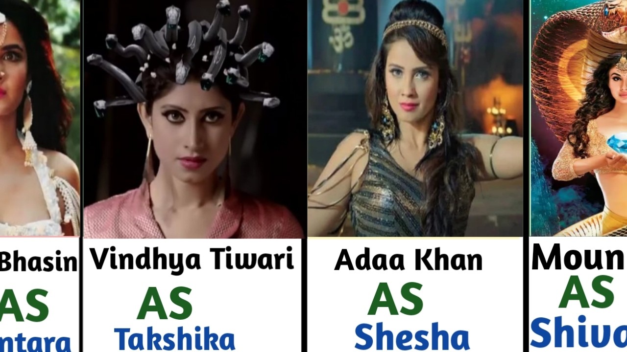 Naagin Season 1,2,3,4,5,6 All Naagin List | All Season Naagin