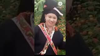 triệu kim iu miền pao dung về bản thân