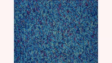 In memoriam Bart Vegter