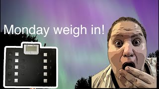 Monday weigh in + Northern Lights + Garden Update | Vlog