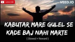 Kabutar mare gulel se kade baj nahi marte song | (slowed    reverb ) Lofi