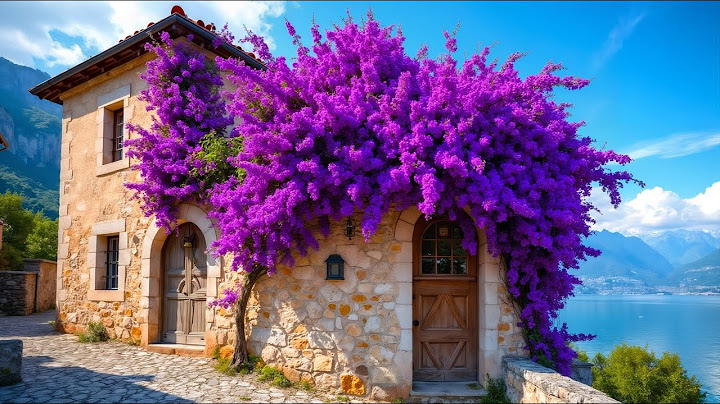Bougainvillea Dreams in Sirmione -The Most Romantic Town in Italy