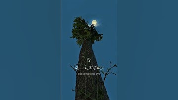 { وعباد الرحمان الذين يمشون عل الأرض هونا }   سورة الفرقان   #قرآن#اكسبلور#ياسر_الدوسري#سورة_الفرقان