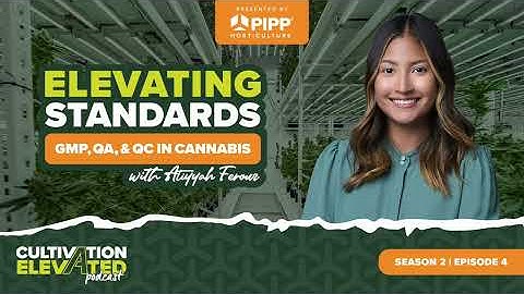 Elevating Standards: GMP, QA, and QC with Atiyyah Ferouz