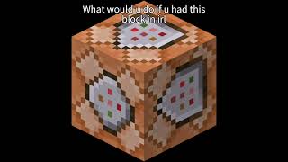 What would u do if u had a command block #minecraft #minecraftonly