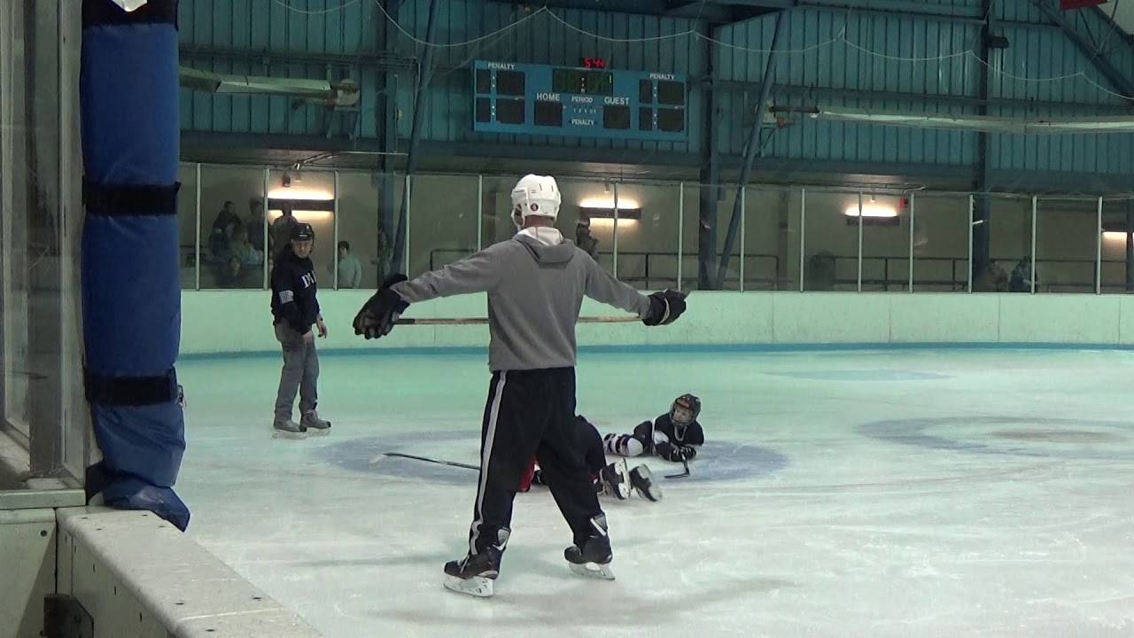 Hockey Jett and Sebastian 2 26 2020 3 YouTube