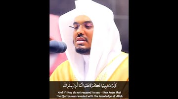 فاعلموا أنما أُنزِل بعلم الله | تلاوة بديعة من سورة هود | ياسر الدوسري رمضان ١٤٤١