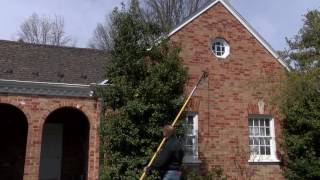 In the Garden - Pruning Holly Shrubs