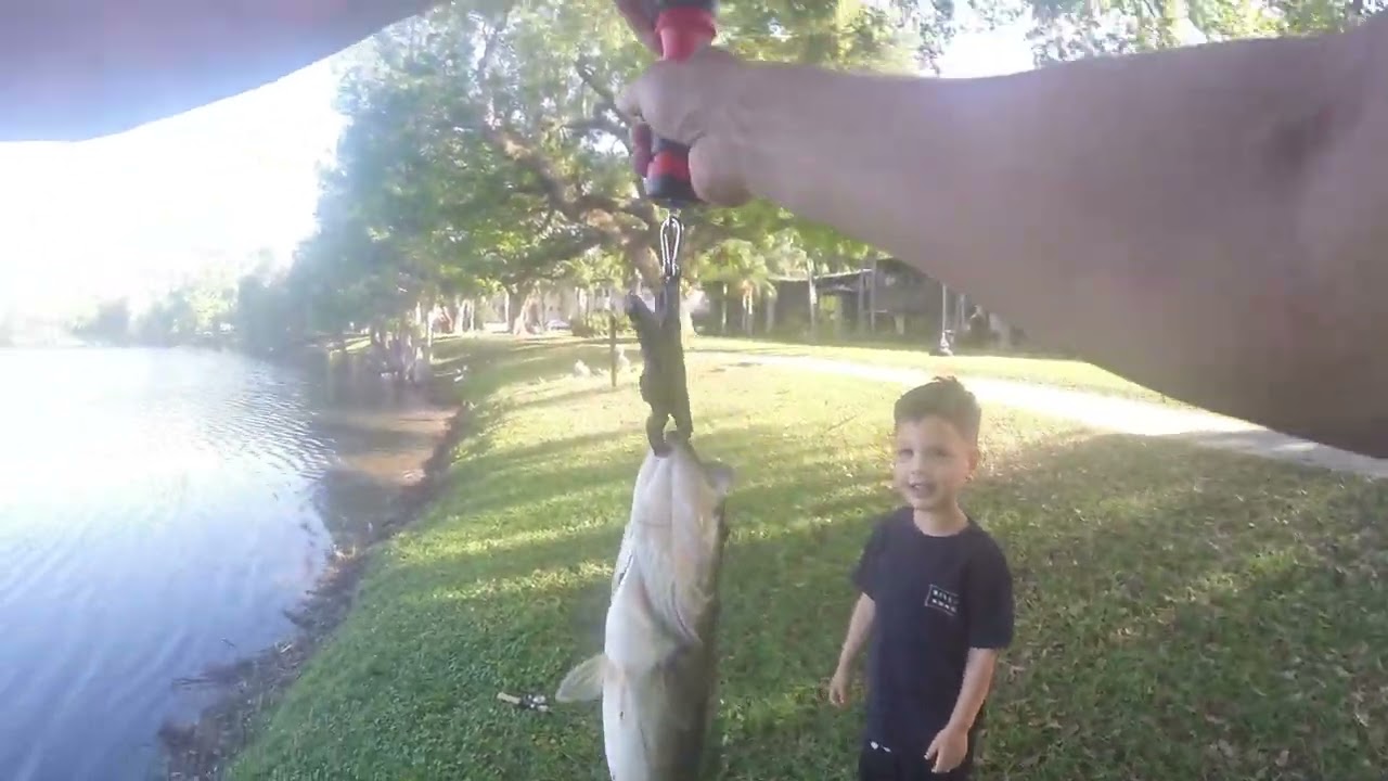 Bass fishing City Lake  – Penn Battle  – 5″ Trick Stick