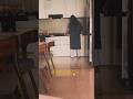 #homedecor #simplyserene #simpleliving #slowliving #shortvideo