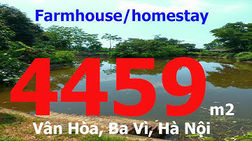 BĐS ven đô bỏ phố về 4459m2 Vân Hòa Ba Vì Hà Nội 0986872525