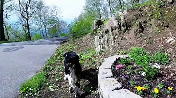 Testing a Zhiyun Evolution 3-axis gimbal