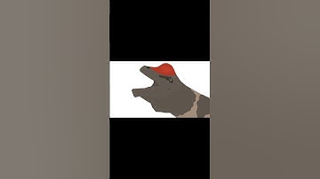 the sound that brachiosaurus could