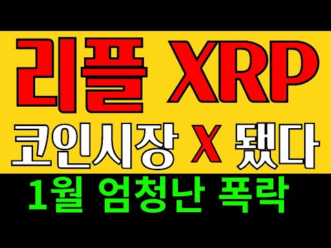 리플 XRP 코인 - 비트코인 1월 대폭락 가능성 알트코인 맛집 대박코인 고래