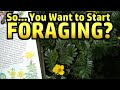 How To Get Started Foraging - Practical Guidance For Absolute Beginners