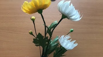 How to make chrysanthemum/Cách làm hoa cúc đại đoá